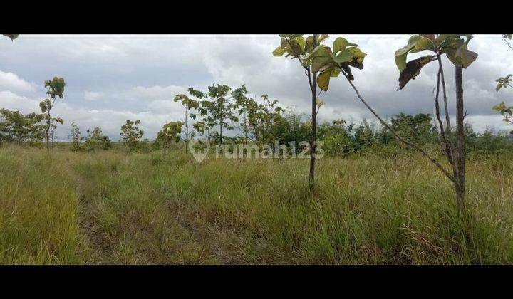  5035ef Tanah Subur Toari Kolaka Sulawesi Tenggara  2