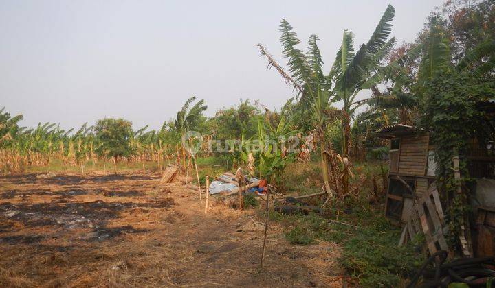 Kavling Besar di Cengkareng Jakarta Barat 1