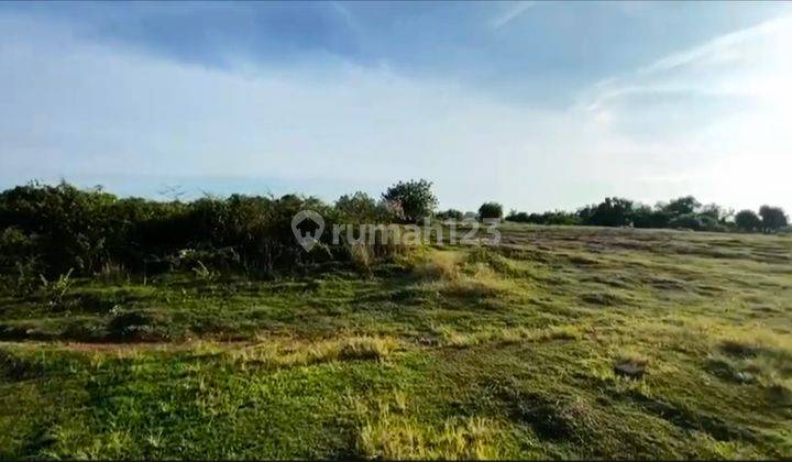 Kavling Tanah Tebing Di Cemongkak - Pecatu 2