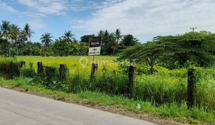 Tanah HGB Jl. Bhayangkara Sumampir Cilegon 2