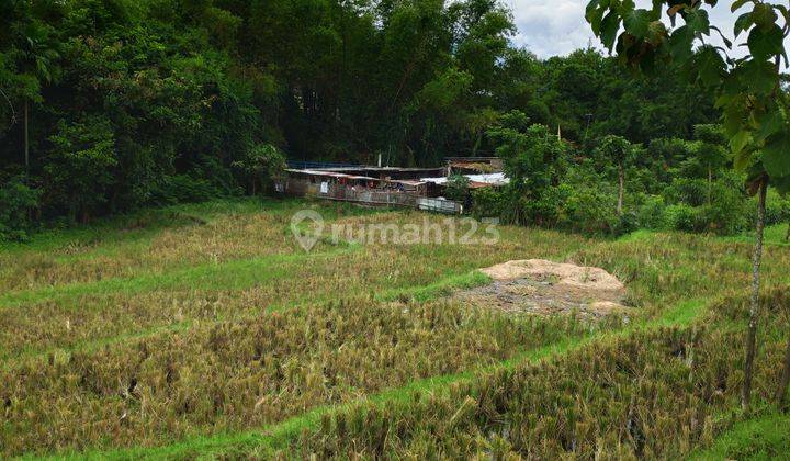 CEPAT TANAH LOKASI STRATEGIS DI KOTA MALANG 1