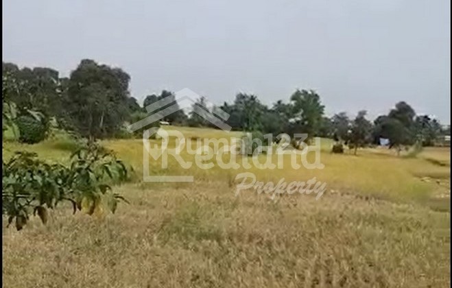 Tanah di Gubernur Sarkawi , Banjarbaru Banjarmasin ( Wn 3558 ) Tanah di Gubernur Sarkawi , Banjarbaru Banjarmasin ( Wn 3558 )