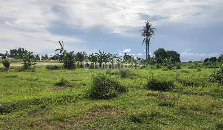 LAND FOR SALE - SI BULE KEBELET INGIN PULANG KAMPUNG !!! 1