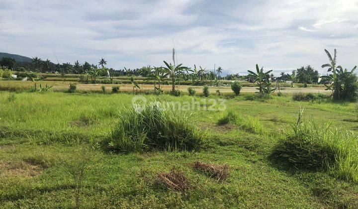 LAND FOR SALE - SI BULE KEBELET INGIN PULANG KAMPUNG !!! 2