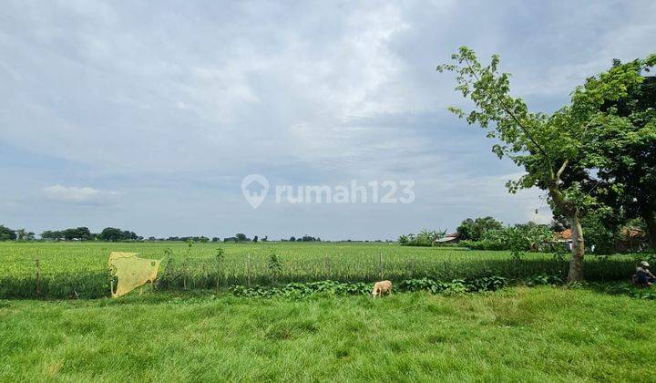 Dijual Lahan Tanah Kawasan Industri Cipendeuy Subang Jawa Barat 2