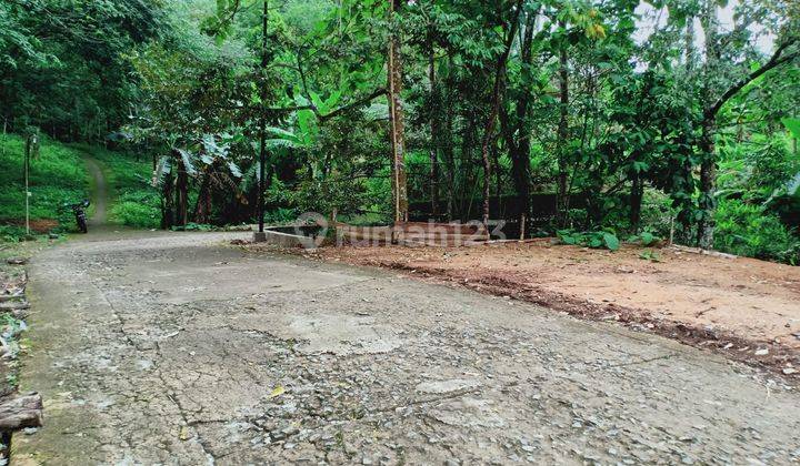 Kebun Durian Siap Panen Kerjo Karanganyar 1