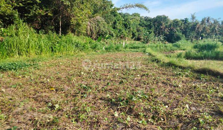 Land for sale globally near the park at the end of Karangasem, Bali 1