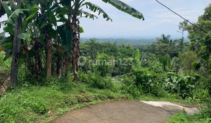 Tanah 5ha Cocok Untuk Resort,villa View Candi Borobudur Magelang.