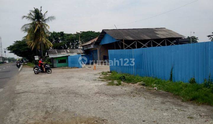 Tanah di Lokasi Mainroad Pamanukan Subang 2