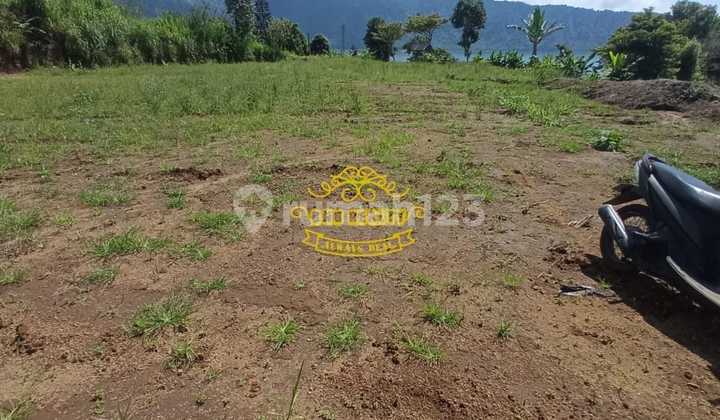 Tanah Jual Lokasi Bedugul Tanah Jual Lokasi Bedugul