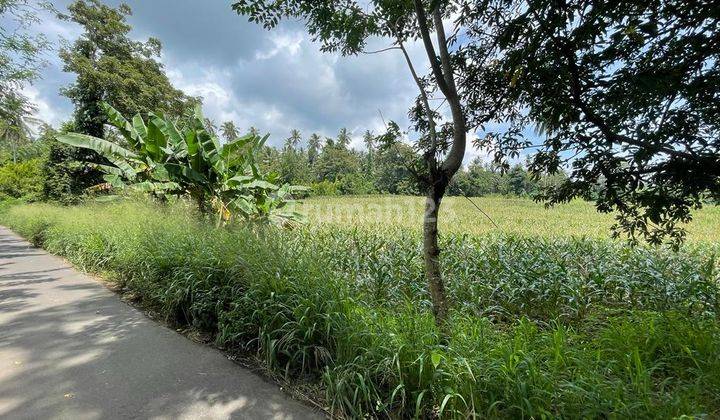 TANAH UTK INDUSTRI KEMA.SULAWESI UTARA 1