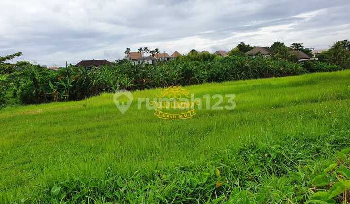 Land for Sale in Pererenan Area
