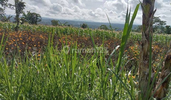 Beautiful land with Benua view 1