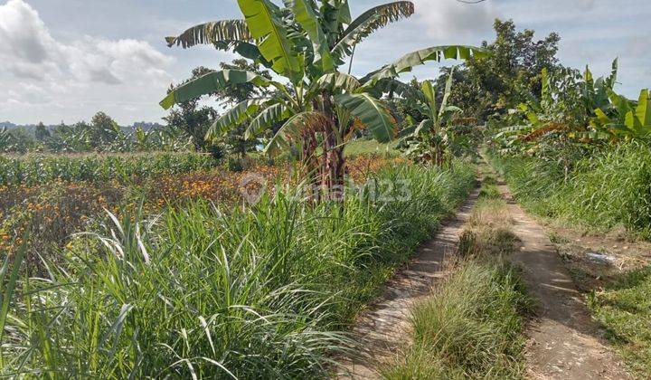 Beautiful land with Benua view 2