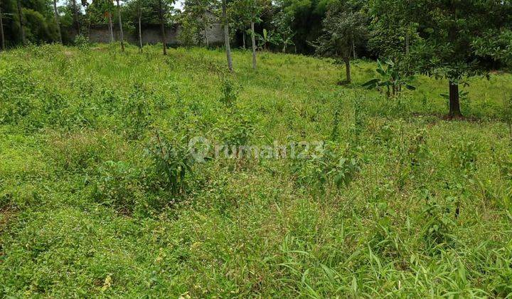 Tanah buat berkebun ataupun investasi sangat strategis banget disukamakmur  2