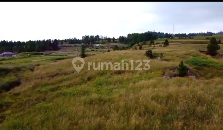 Dijual murah kavling dekat DPRD samosir medan Dijual murah kavling dekat DPRD samosir medan