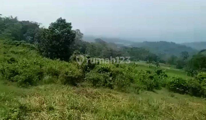 Tanah Ada Mata Air Untuk Perkebunan Dan Villa View Gunung di Cariu Bogor  1