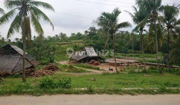 Lahan Cikerai Cilegon Cocok untuk Tempat Usaha Nuansa Alam 1