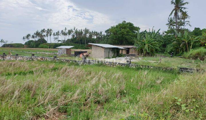 FOR SALE VERY RARE & STRATEGIC LOCATION IN THE PANGKUNG TIBAH AREA, TABANAN 2