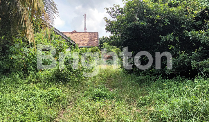 Premium location suitable for business and warehousing