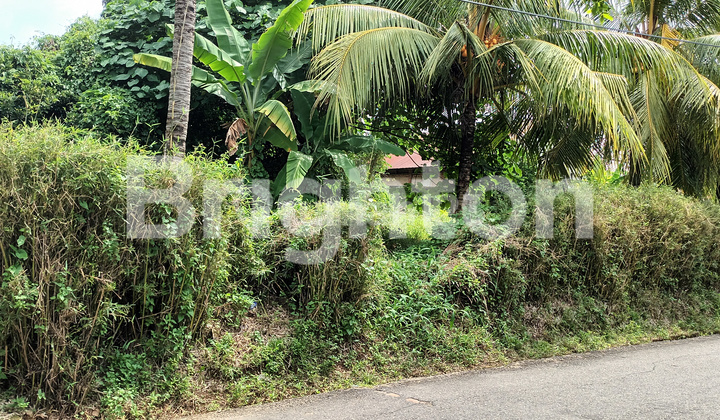 Premium location suitable for business and warehousing