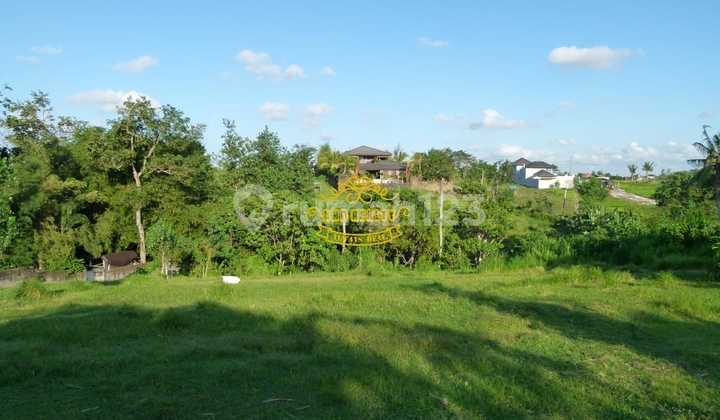 Land for Sale in Pererenan Location