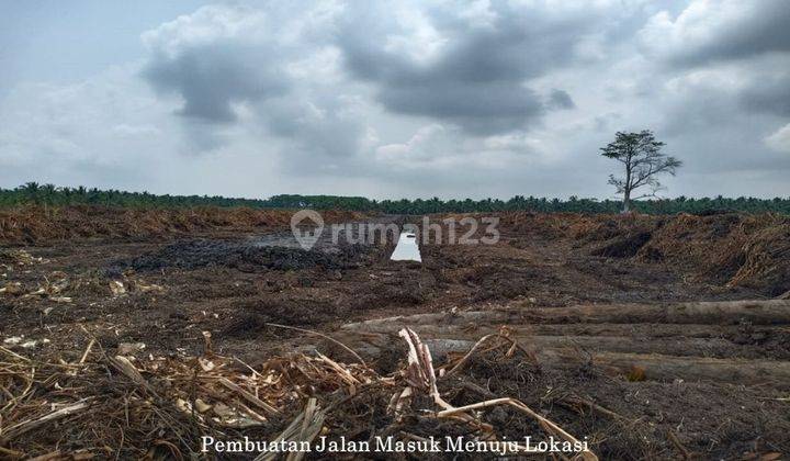 LAHAN 100 HA DIJUAL DI TANJUNG API - API 2