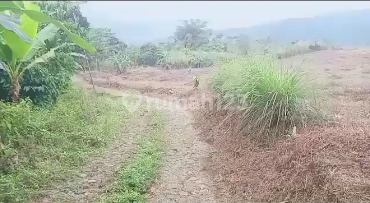 Tanah Jonggol Murah, View Lembah, Akses Langsung Jalan Desa 2 Mobil, Shm Tanah Jonggol Murah, View Lembah, Akses Langsung Jalan Desa 2 Mobil, Shm