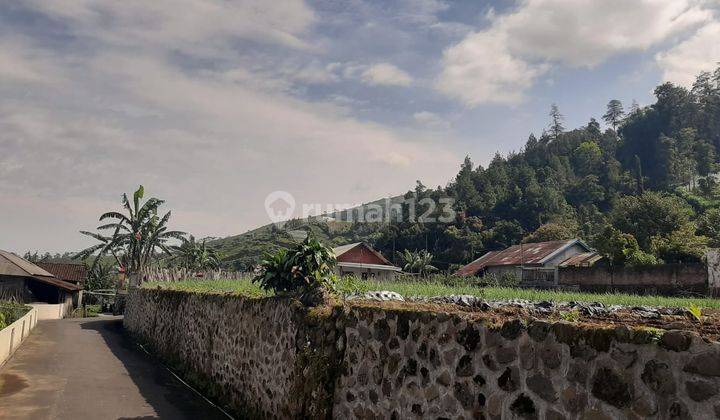 Pekarangan 216m2 View Paralayang Ngargoyoso Idr 300jt 1