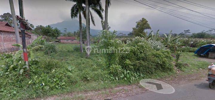 Tanah Raya Cokro Magelang 1