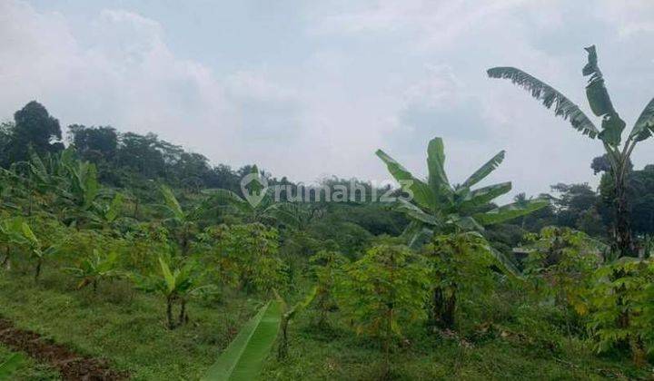 Jual Cepat Tanah Lahan Murah Siap Bangun Luas 2 Hektar Di Cigombong Bogor Jawa Bara 2