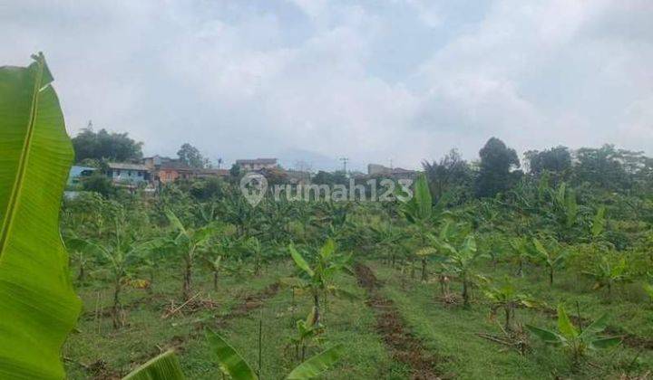 Dijual Segera Tanah Lahan Murah Dengan Luas 2 Hektar Di Cisalada Cigombong Bogor Jawa Barat 1