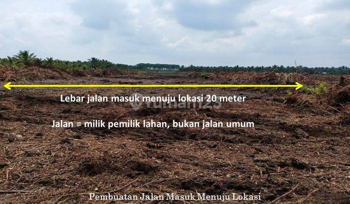 Lahan LAHAN 50 HEKTAR DIJUAL DI TEPI SUNGAI 1