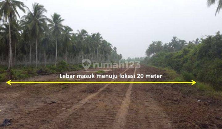 Lahan LAHAN 50 HEKTAR DIJUAL DI TEPI SUNGAI 2