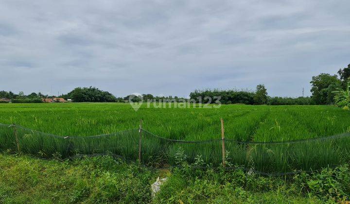 Dijual Lahan Tanah Industri Daerah Cihambulu Pabuaran Purwakarta Jawa Barat 1