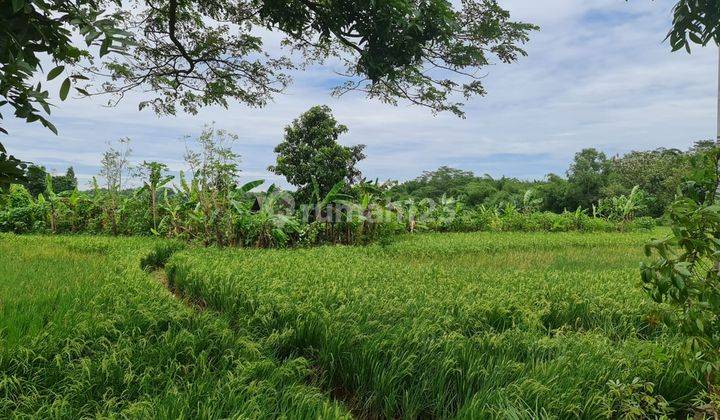 Dijual Lahan Tanah Industri Daerah Cisantri Cibatu Purwakarta Jawa Barat 1