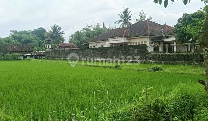For Sale Land by the Side of Jl. Palagan Km.14, Sleman in Yogyakarta. For Sale Land by the Side of Jl. Palagan Km.14, Sleman in Yogyakarta.