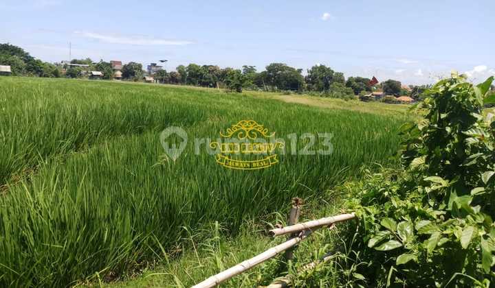 Tanah Jual Lokasi Umalas Tanah Jual Lokasi Umalas