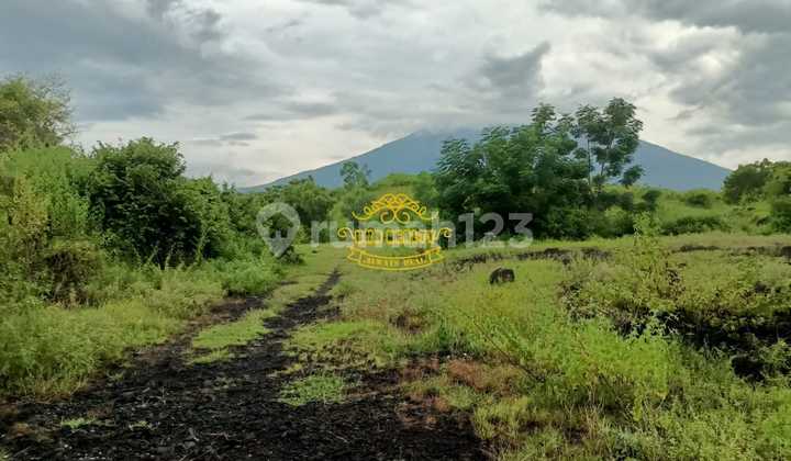 Tanah Jual Lokasi Tulamben Tanah Jual Lokasi Tulamben