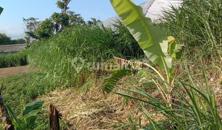 Land for Sale in Padang Galak Location