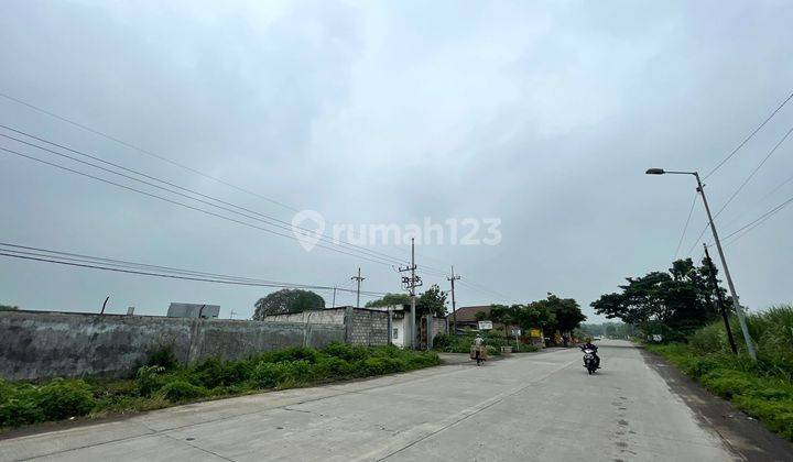 TERMURAH! TANAH + LAHAN PARKIR MURAH DI 0 JALAN RAYA DOMAS MOJOKERTO  2