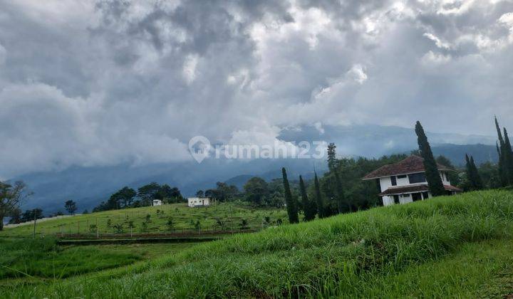 Tanah Kering dibawah Harga Pasar di Trawas Pasuruan 1