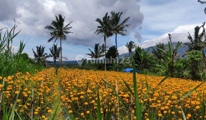 - BEAUTIFUL LAND CLOSE TO THE ANGSRI HOT WATER TOURISM OBJECT 2