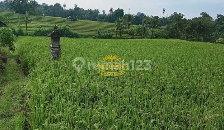 Land for Sale at Nyanyi Beach Location Land for Sale at Nyanyi Beach Location