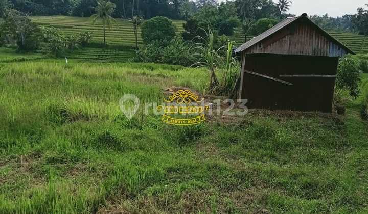 Land for Sale at Nyanyi Beach Location Land for Sale at Nyanyi Beach Location
