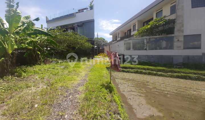 Land For Sale in Semat Location