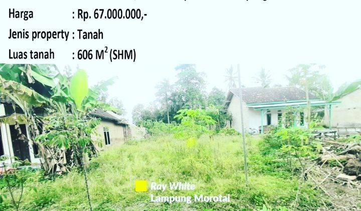 Tanah murah kalianda 2