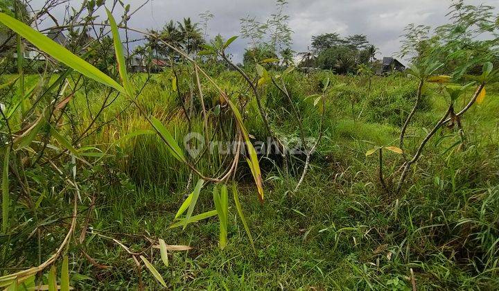 Tanah Lingkungan Sawah nan Sejuk Di Jl Palagan Utara Hyatt 2