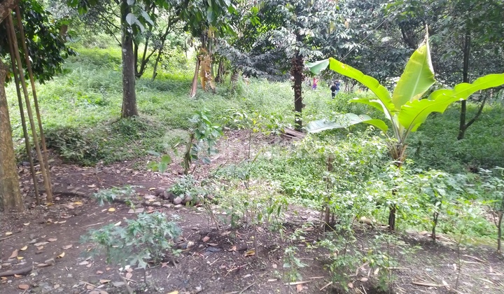 Dijual Tanah Gunung Murah Di Mainroad Batujajar Cangkorah 1
