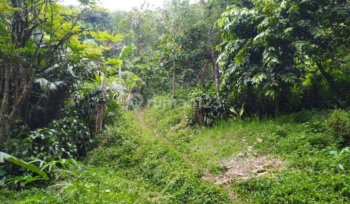 Dijual Tanah Gunung Murah Di Mainroad Batujajar Cangkorah 2